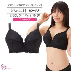 SALE ブラジャー 大きいサイズ インナー 女性 下着 お試しブラVer2.5N 黒 フルカップ（SP-494）