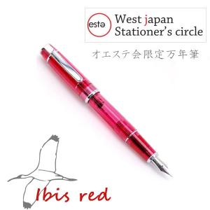 パイロット 万年筆 プレラ ライムグリーン 細字 ブリスターパック