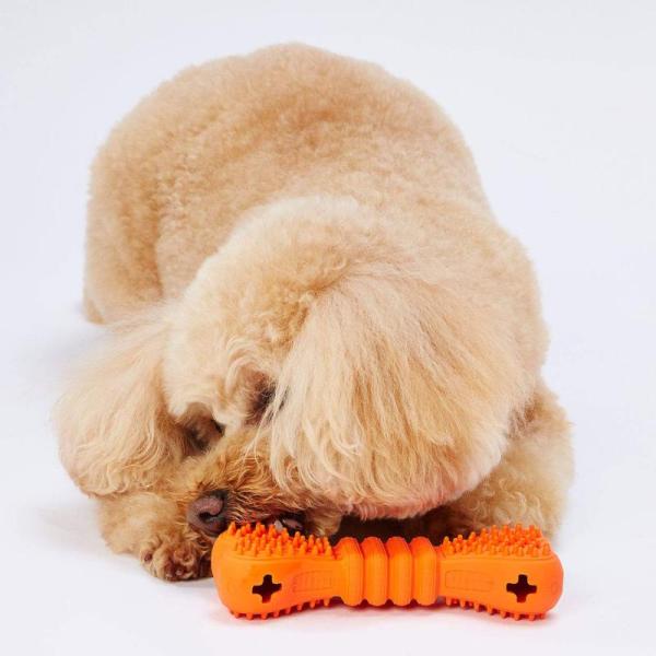 ペティオ (Petio)犬用おもちゃTREATS LOVER ボーン S