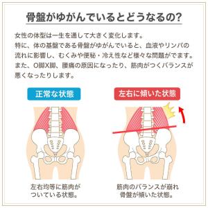 骨盤ベルト 腰痛 産後 産前 腰痛 産後すぐ ...の詳細画像3