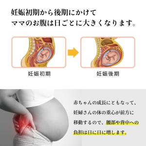 マタニティベルト 腹帯 妊婦帯 妊娠 手術後 ...の詳細画像5