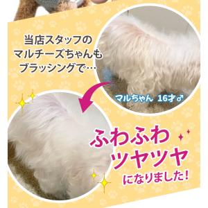 ペットブラシ 猫 犬 ブラシ 抜け毛 ペット ...の詳細画像5