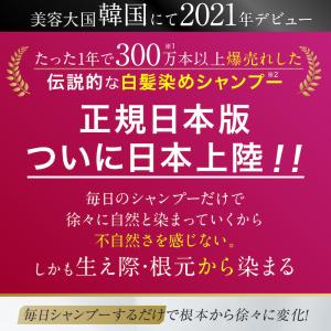 【毎日5分置くだけ】白髪用ブラックシャンプー国...の詳細画像2