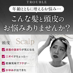 【毎日5分置くだけ】白髪用ブラックシャンプー国...の詳細画像3