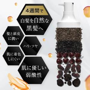 【毎日5分置くだけ】白髪用ブラックシャンプー国...の詳細画像4