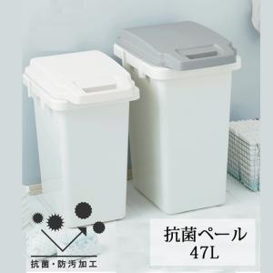 ゴミ箱 生ごみ 生ゴミ ごみ箱 抗菌 防臭 ダストボックス 蓋付き ふた付き 47L ホワイト グレー