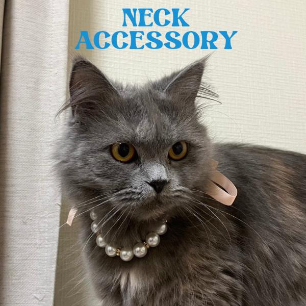 リボンパールアクセ　小型犬　猫　リボン　pet neck Accessory   ペットネックレス ...