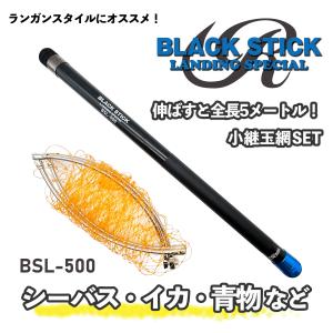 磯玉セット 540 磯玉ノ柄 磯玉の柄 磯玉網セット 振出 アルミ玉枠