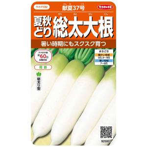 サカタのタネ 実咲野菜5003 夏秋どり総太大根 献夏37号 00925003