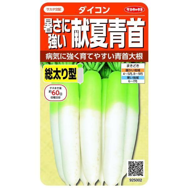サカタのタネ 実咲野菜5002 夏秋どり青首大根 献夏青首 00925002