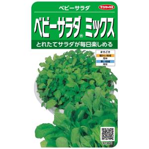 実咲野菜 ツケナ ベビーサラダミックス 小袋003037
