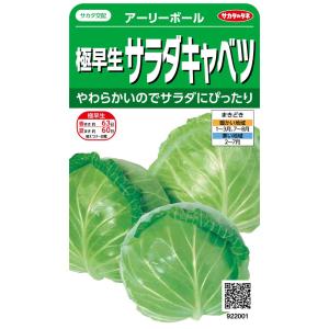 サカタのタネ 実咲野菜2001 極早生サラダキャベツ アーリーボール 00922001