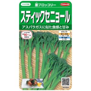 サカタのタネ 実咲野菜2505 スティックセニョール 茎ブロッコリー 00922505
