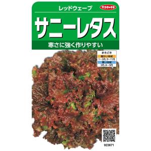 サカタのタネ 実咲野菜3671 サニーレタス レッドウェーブ 00923671