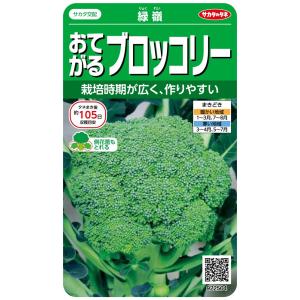 サカタのタネ 実咲野菜2504 おてがるブロッコリー 緑嶺 00922504