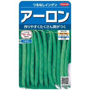 サカタのタネ 実咲野菜7073 アーロン つるなしインゲン 00927073