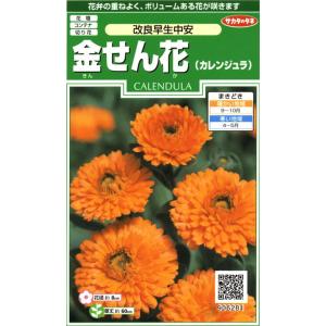 サカタのタネ 実咲花6281 金せん花 改良早生中安 00906281