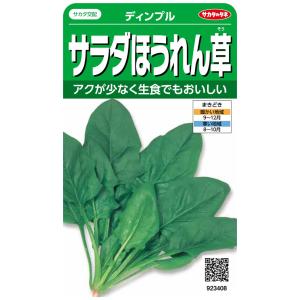 サカタのタネ 実咲野菜3408 サラダほうれん草 ディンプル 00923408