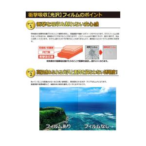 PDA工房 Polar Unite 衝撃吸収[...の詳細画像2