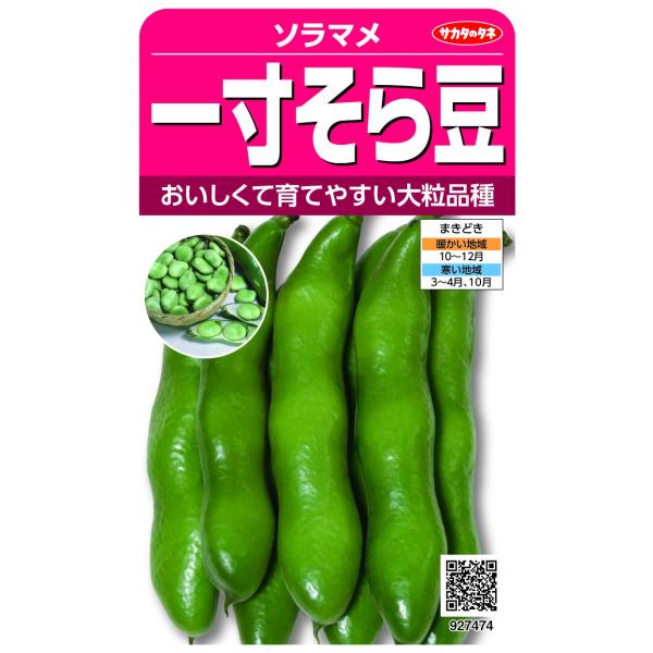 サカタのタネ ソラマメ 一寸そら豆