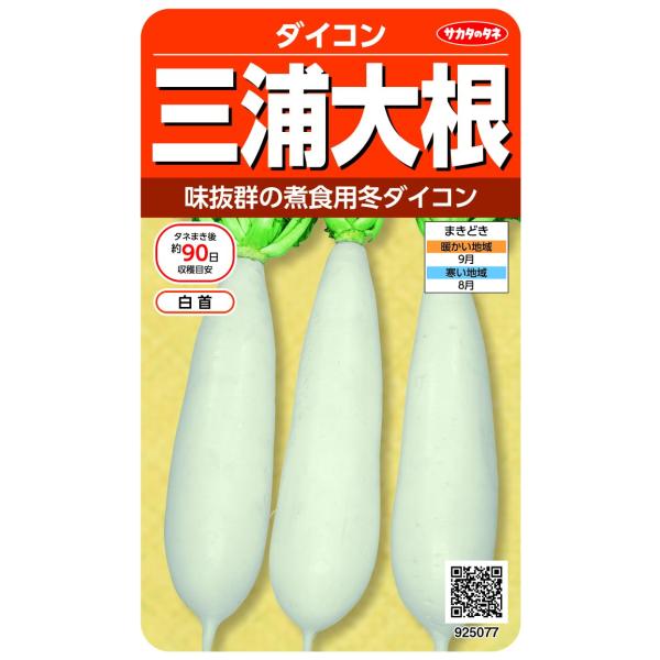 サカタのタネ 実咲野菜5077 三浦大根 ダイコン 00925077