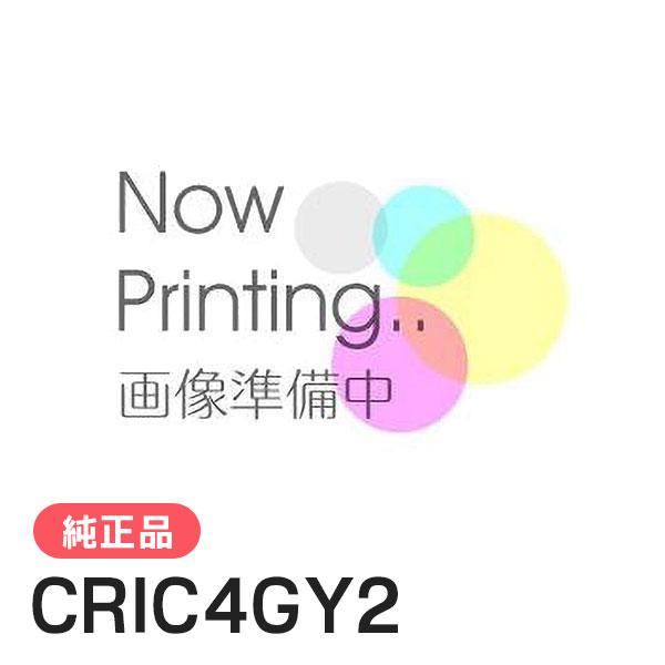 EPSON エプソン 純正品 CRIC4GY2 グレー 純正インク