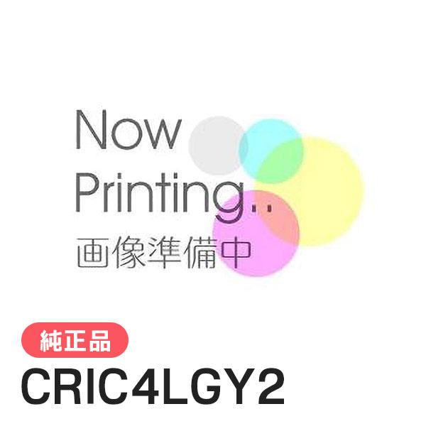 EPSON エプソン 純正品 CRIC4LGY2 ライトグレー 純正インク