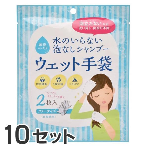 (10個セット) 水のいらない泡なしシャンプー ウェット手袋 2枚入り