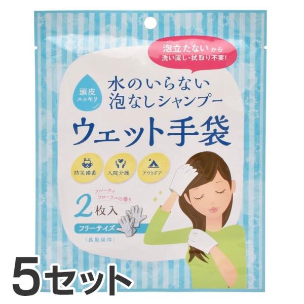 (5個セット) 水のいらない泡なしシャンプー ウェット手袋 2枚入り