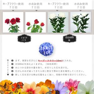 切花栄養剤/切花延命剤/フラワーサプリメント ...の詳細画像2