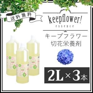 切花栄養剤/切花延命剤/フラワーサプリメント キープフラワー 2L×3本セット