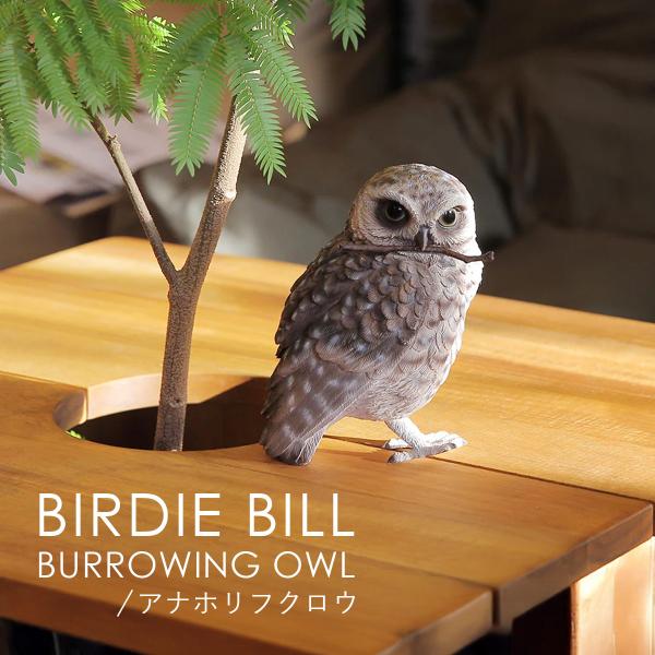 BIRDIE BILL バーディ ビル BURROWING OWL アナホリフクロウ オブジェ クリ...
