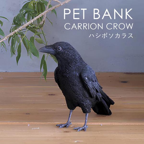 PET BANK ペットバンク CARRION CROW ハシボソカラス オブジェ 貯金箱 magn...