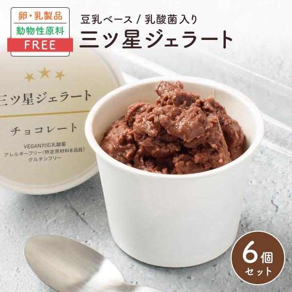三ツ星ジェラート チョコレート 6個入 アイス 詰め合わせ 無添加 卵 乳 不使用 アレルギー ベジ...