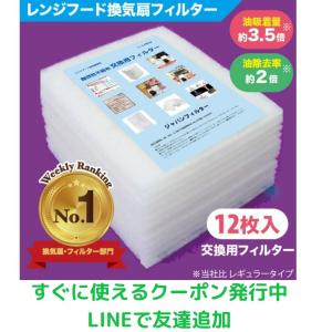 換気扇フィルター レンジフード フィルター 特厚１センチ 【サイズ5種類】　 難燃性 不織布 フィルタ １２枚　得トクセール