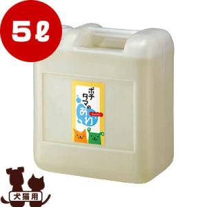 アンチノール プラス 犬 犬用 90粒 90 犬用サプリメント 送料無料 CCC