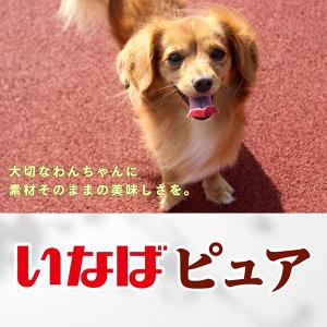 ピュア とりささみ チーズ入り 30g いなば...の詳細画像2