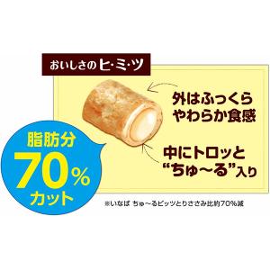 ちゅーるビッツ 低脂肪 とりささみ 野菜入り ...の詳細画像3