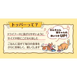 ちゅーるトッパー チキン味 ドライ 180g×...の詳細画像3