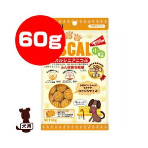 ☆ビスカル シニア 小粒 60g 現代製薬 ▼g ペット フード 犬 ドッグ スナック おやつ ビスケット｜runpet