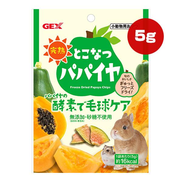 完熟 とこなつパパイヤ 5g ジェックス ▼a ペット フード 小動物 うさぎ ハムスター モルモッ...