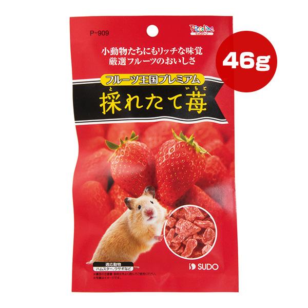 フルーツ王国プレミアム 採れたて苺 46g スドー ▼a ペット フード 小動物 ハムスター ウサギ...