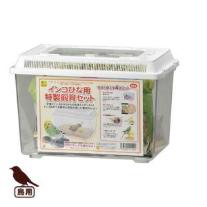 SANKO インコひな用 特製飼育セット 三晃商会 ▼a ペット グッズ 鳥