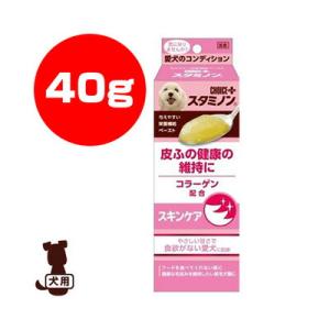 チョイスプラス スタミノン スキンケア 40g アースペット ▼a ペット フード 犬 ドッグ 栄養...