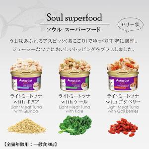アタスキャット ソウルスーパーフード ライトツ...の詳細画像3