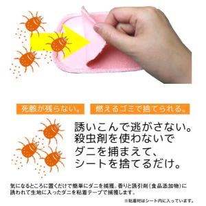 ダニ捕りシート ママのための置くだけ簡単ダニシ...の詳細画像4