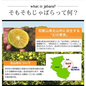 じゃばら ジャバラ 北山村じゃばら 北山村産の...の詳細画像2