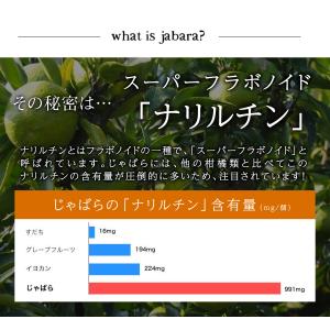 じゃばら ジャバラ 北山村じゃばら 北山村産の...の詳細画像3
