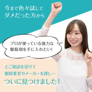 ゴキちゃんストップ ウーマンデザイン ゴキブリ...の詳細画像2