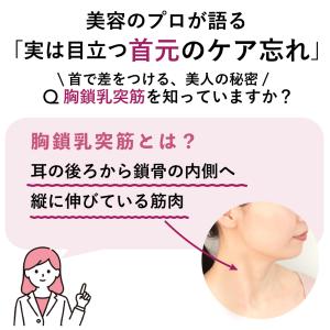 胸鎖乳突筋 首 デコルテ ネッククリーム わた...の詳細画像2